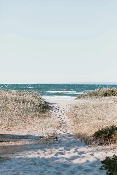 Strandweg durch die Dünen an die Ostsee. Im Hintergrund ist das Meer zu sehen.